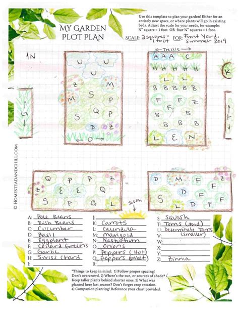 Garden Companion Planting Guide - Dreaming Arcadia