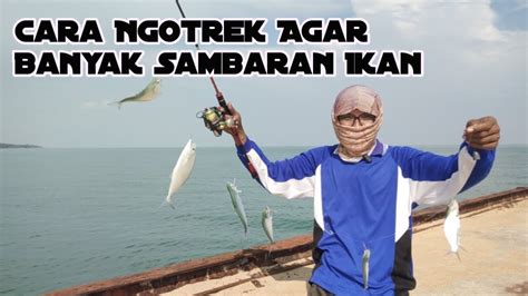 Cara Ngotrek Agar Banyak Sambaran Ikan YouTube