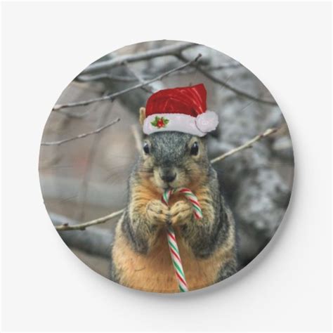 Christmas Squirrel Paper Plate | Zazzle.com