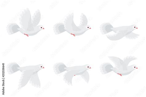 White Dove Flying Animation