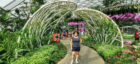 Complete Guide to Canopy Park in Jewel Changi Airport, Singapore ...