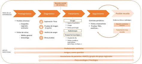 Etapas Del Cáncer De Endometrio Pacientes Gsk