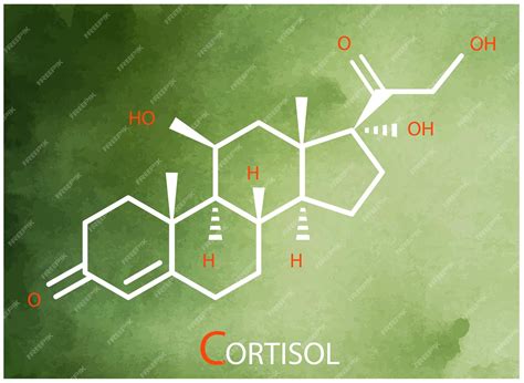 Fórmula De Cortisol ícone De Linha Fina Do Vetor Da Estrutura Molecular