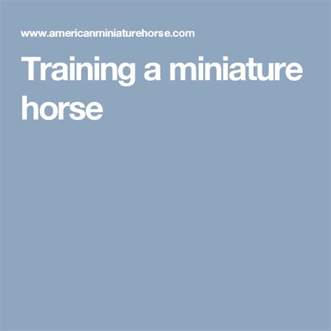 Training a miniature horse | Miniature horse, Horses, Natural horsemanship