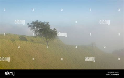 Mt Eden summit in thick morning fog, Auckland Stock Photo - Alamy