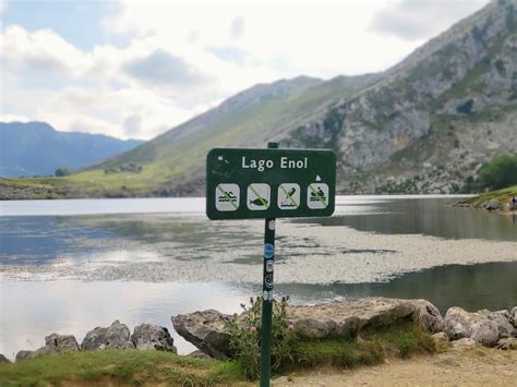 El De Las Aguas Espa Olas Tiene Presencia De Glifosato