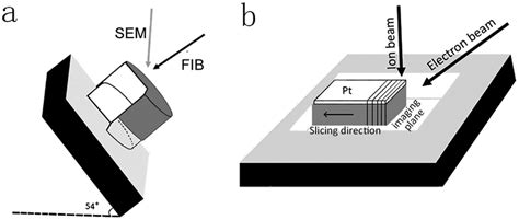 Schematic Illustration Of The FIB SEM Method A The Imaging And