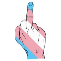 Trans Fuck You Discord Emoji