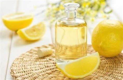 Olio Essenziale Di Limone Come Prepararlo In Casa E Come Adoperarlo