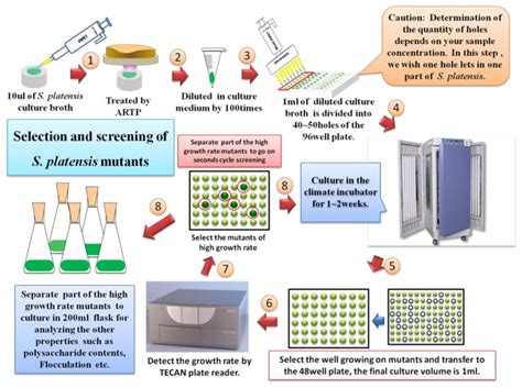 The Experimental Protocol For High Throughput Screening Of The S