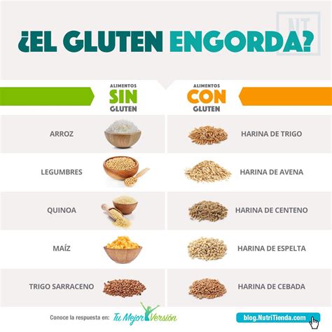 El Gluten Está Siendo Motivo De Controversia En Los últimos Tiempos