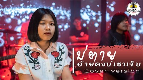 บ่ตายอ้ายคงบ่เซาเจ็บ อิง กัญญารัตน์ 【cover Version】 Original ไอดิน