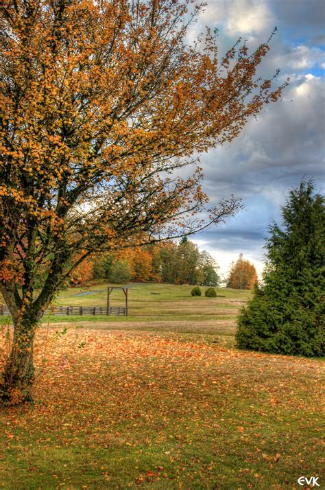 Free Images Landscape Tree Nature Forest Path Grass Branch