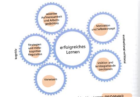 Invo Modell Aufmerksamkeit Und Ged Chtnis Karteikarten Quizlet