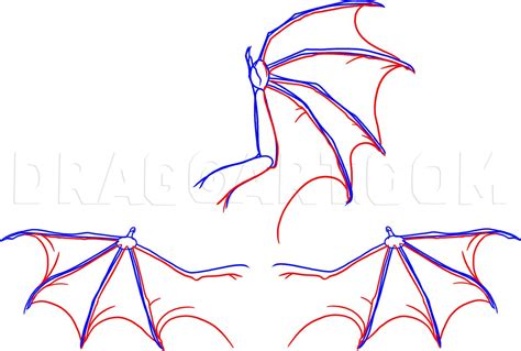 How To Draw Dragon Wings Step By Step Drawing Guide By Dawn Artofit