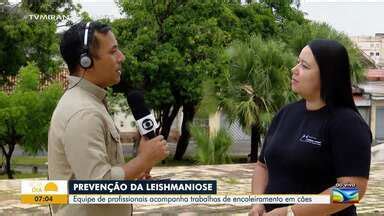 Bom Dia Mirante Equipe de profissionais da Saúde acompanha trabalhos