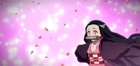 Demon Slayer Nezuko Moving Wallpaper Demon Slayer Live Wallpapers Top