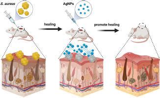 Journal Of Drug Delivery Science And Technology