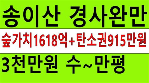 3천만원 수~만평 송이산 계획관리포함 경사완만 싼임야 차진입포장도로 편안한전원생활 숲가치1618억원 탄소권915만원 땅과함께