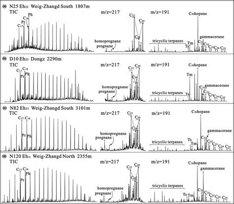 Total Ion Chromatograms Tics And Mz 191 And Mz 217 Mass Download Scientific Diagram