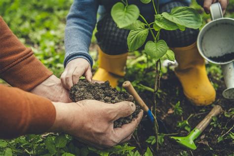 Pr Parer Le Jardin Pour Le Printemps Voici Nos Astuces Utiles Et