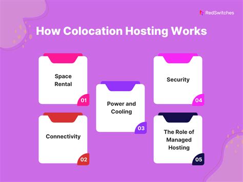 Colocation Hosting In 2024 Maximizing Business Potential