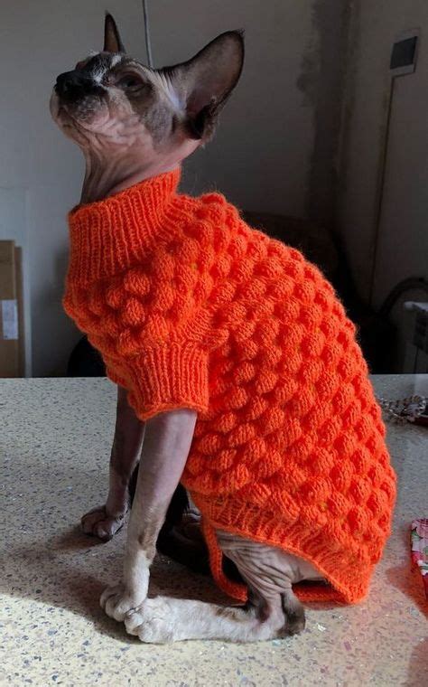 Ropa Para Perro Tejida A Crochet Ideas Y Dise Os