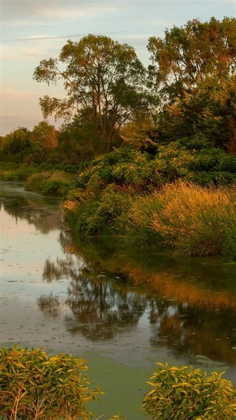 Jesienne Krzewy I Drzewa Na Brzegu Jeziora Prairie Rose Lake Tapeta