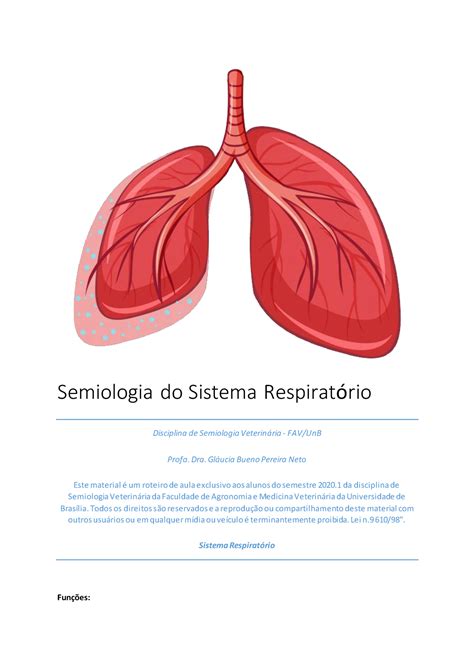 Semio Respiratorio Resumo Semiologia Do Sistema Respirat Rio