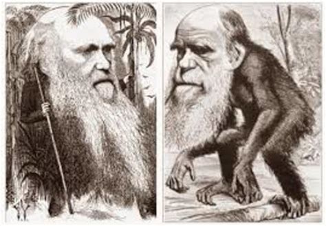 La Vida De Darwin Timeline Timetoast Timelines