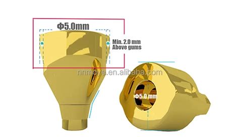 Straumann Osstem Zimmer Dental Implant Abutment With Digital Solution