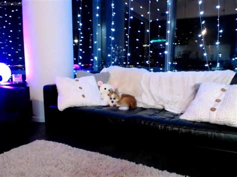 Watch Free Tiffany James Impregnated By Bbc Part Two 1280x720 Xxx Onlyfans Porn Videos Porn