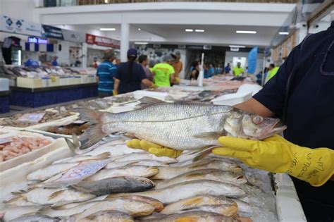 horário ampliado Mercado de Peixes de Santos garante pescado a