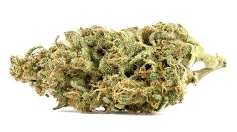 Gorilla Glue Comprar Flores CBD Gorila Glue