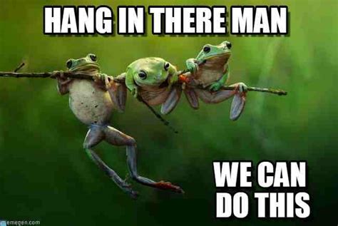 20 Hang In There Meme To Motivate You SayingImages