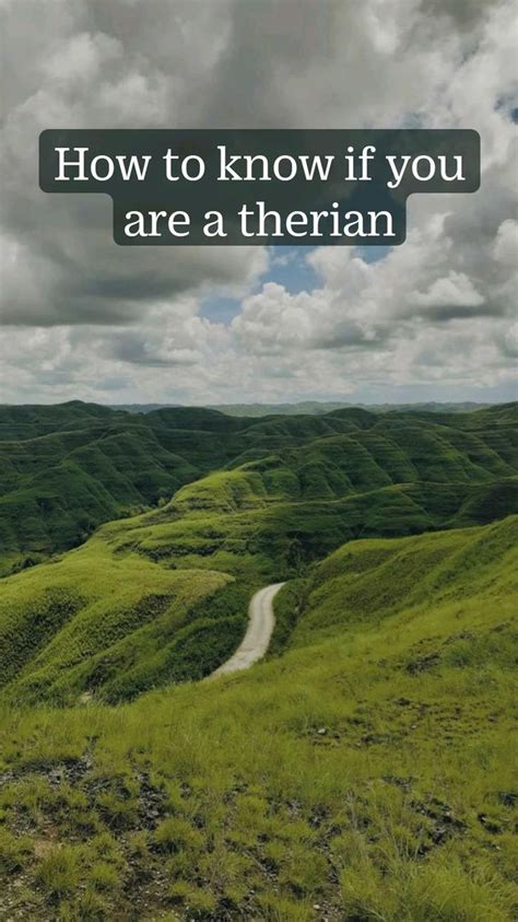 How To Know If You Are A Therian