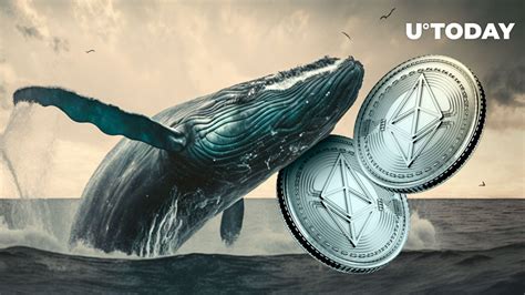 New Eth Whales Grabbing Astonishing Number Of Ethereum As Price Soars