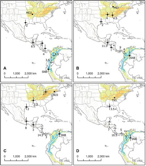 Cerulean Warblers exhibit parallel migration patterns and multiple ...