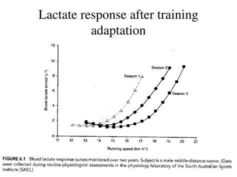 Ppt Ais Chapter Blood Lactate Thresholds Powerpoint Presentation