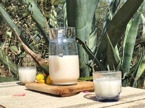 Premium Photo Savor The Flavors Of Mexico With Pulque A Refreshing