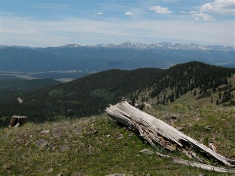 Cottonwood Pass, Colorado, Buena Vista, Offroad, Trail | Colorado Vibes