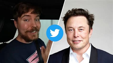 MrBeast Asks If He Can Become Twitter CEO Elon Musk Replies The