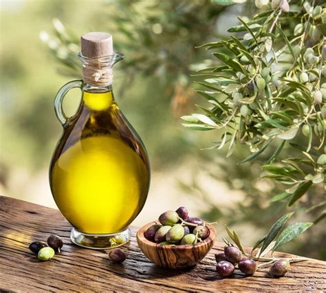 Olive Oil Organic Olive Oil Organic Sauces 500ml | Etsy | Organic olive ...