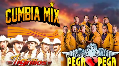 Tigrillos Ft El Pega Pega De Emilio Reyna Sus Mejores Canciones