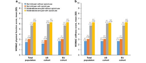 WOMAC Scores In Patients With Hip And Or Knee OA By Pain Intensity And