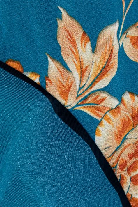 JETS AUSTRALIA BY JESSIKA ALLEN Enchantment Floral Print Low Rise Bikini Briefs THE OUTNET