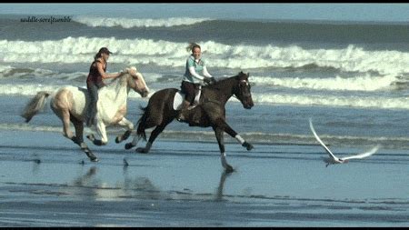 riding float gifs    gif  gifer