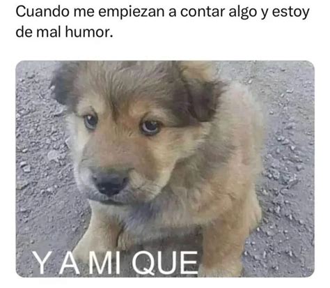 Y A Mi Que