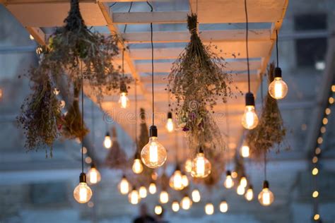 Rustic Light Bulb Garden Lights Stock Image Image Of Design Lights