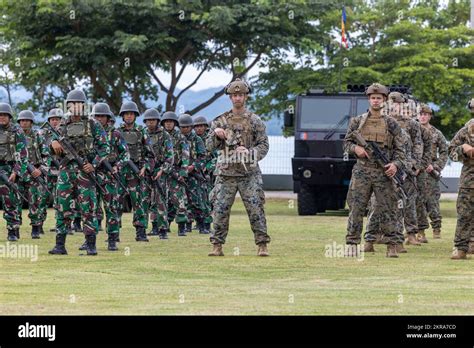 Ee Uu Infantes De Marina Con Fuerza Rotatoria De Marines Sureste